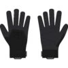 Ortovox Alpine Pro Glove Men -Matériel De Ski Boutique ortovox alpine pro glove men black raven xl black raven09908