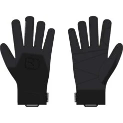 Ortovox Alpine Pro Glove Men